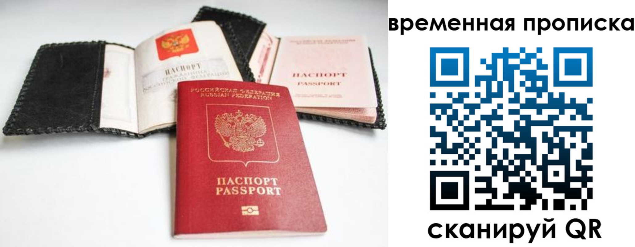 прописка для школы в Вологодской области